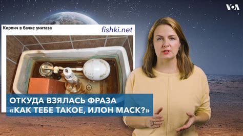 Как возник феномен киото мем