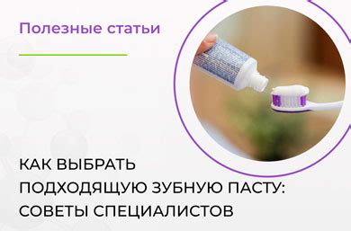 Как выбрать подходящую альтернативу меху: советы специалистов