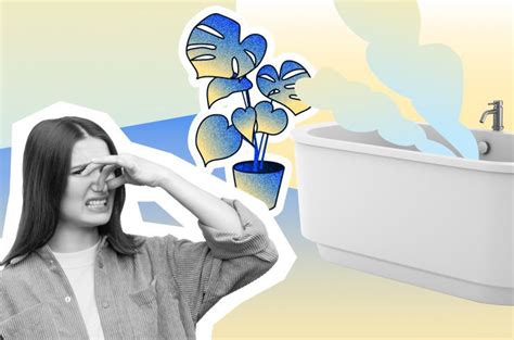 Как избавиться от запаха земли в квартире