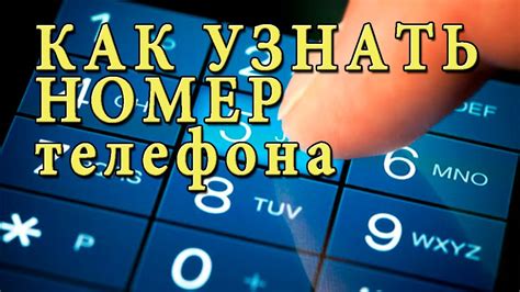 Как использовать найденный номер телефона
