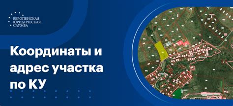 Как определить тип грунта по кадастровому номеру