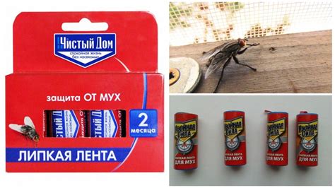 Как очистить одежду от липкой ленты мух: 6 проверенных методов
