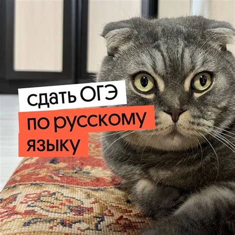 Как подготовиться к очистке ленты