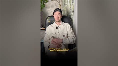 Как правильно обслуживать пихтоварку