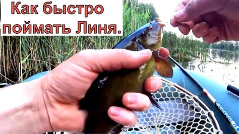 Как правильно собрать кубарь для ловли линя