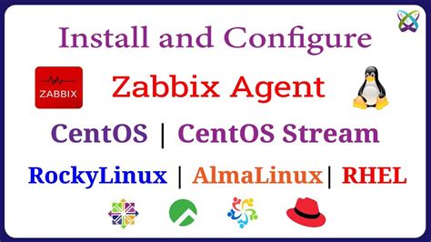 Как проверить, установлен ли Zabbix Agent на Linux