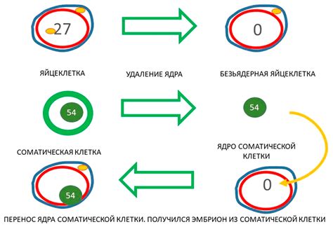 Как происходит процесс