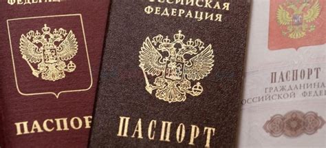 Как узнать готов ли паспорт Минск - подробное руководство