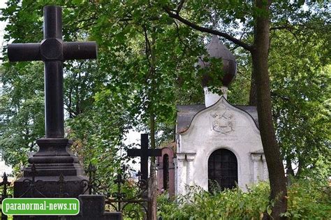 К чему на кладбище встретить кошку