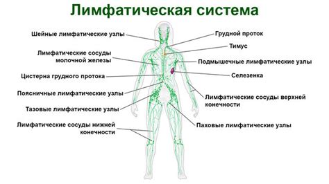 Лимфаденит
