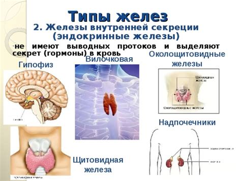 Лишний секрет маслянистых желез