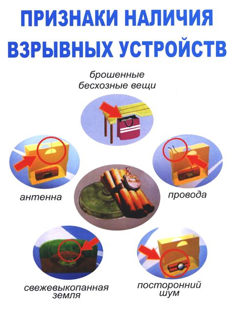 Меры безопасности при обнаружении мышей в продуктах