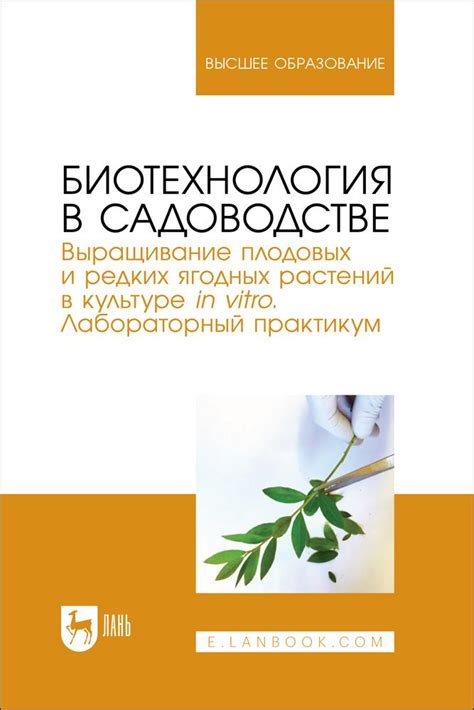 Методика НИСО в садоводстве - секрет успеха растений