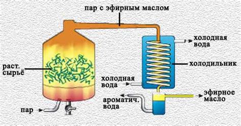 Методы изготовления эфирного масла