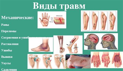 Механические повреждения бороды
