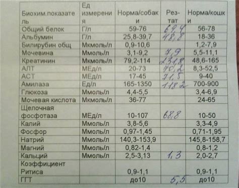 Мочевина у кошки: как снизить уровень