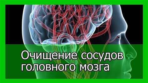 Наиболее эффективные народные средства для восстановления костного мозга