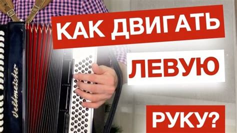 Настройка басов на баяне: секреты и советы для идеального звучания