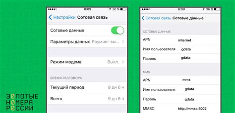 Настройка и активация МФР Мегафон на iPhone