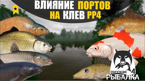 Настройка портов в РР4