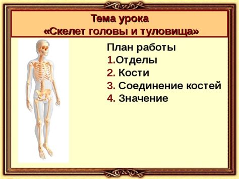 Начало работы: создание головы и туловища