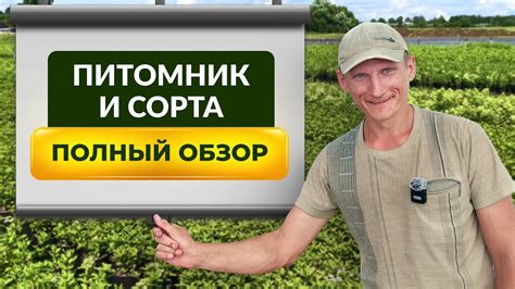Необходимое оборудование для питомника