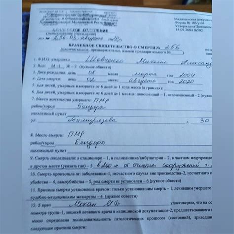 Необходимость оформления документов при смерти