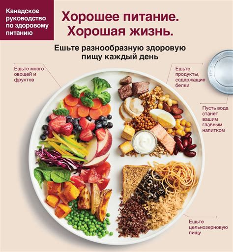 Неправильная диета и рацион