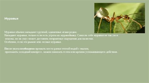 Несложные действия по снятию укуса