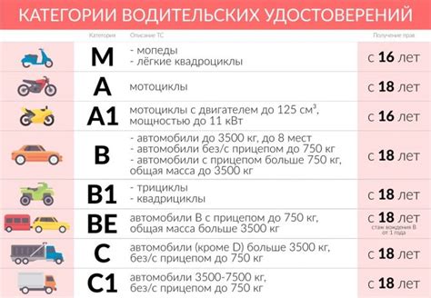 Ограничения и требования для категории "В М1"