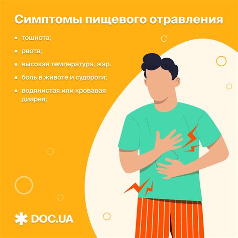 Опасности зараженной пищи: последствия пищевого отравления мышами