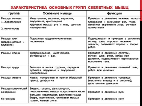 Описание и основные функции