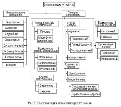 Определение и основные характеристики совести