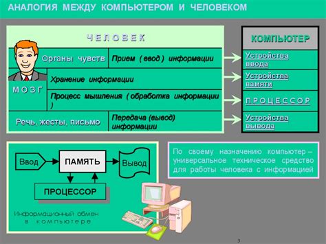 Основные принципы работы и назначение