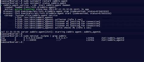 Основные причины удаления Zabbix Agent на Linux