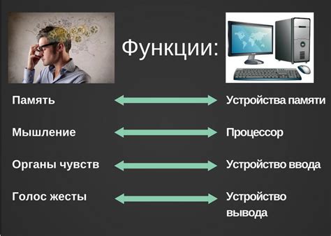 Основные программы и их функции