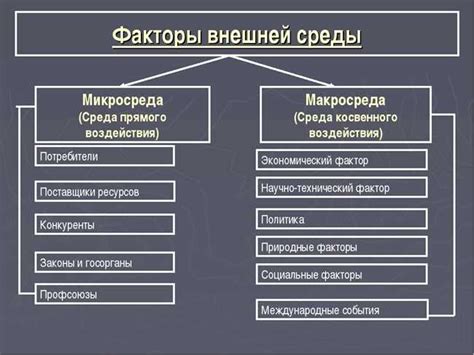 Основные различия и характеристики