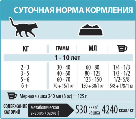 Особенности кормления кошек для контроля уровня мочевины