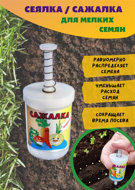 Особенности оптимального времени для сева мелких семян