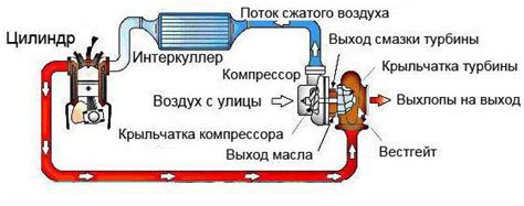Особенности установки и обслуживания турбины