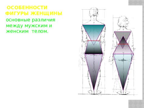 Особенности фигуры
