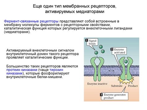 Отказ активации механизма