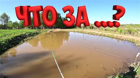 Отключение аудиосигнала: как это произошло и что делать