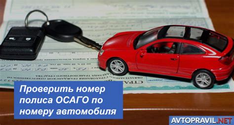 Ошибки и последствия: почему стоит проверить номер