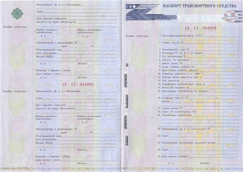 Паспорт и его назначение