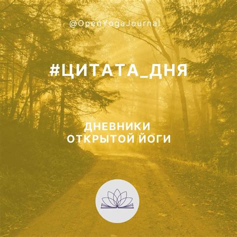 Питание на природе: восстанавливаем силы правильно