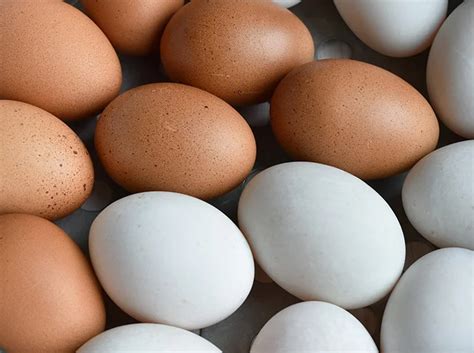 Питательность и полезные свойства копченых куриных желудков