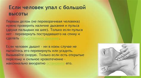 Повреждение хомяка при падении с высоты