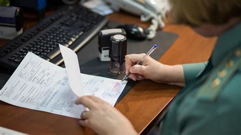 Подготовка документов для оформления европаспорта для собаки
