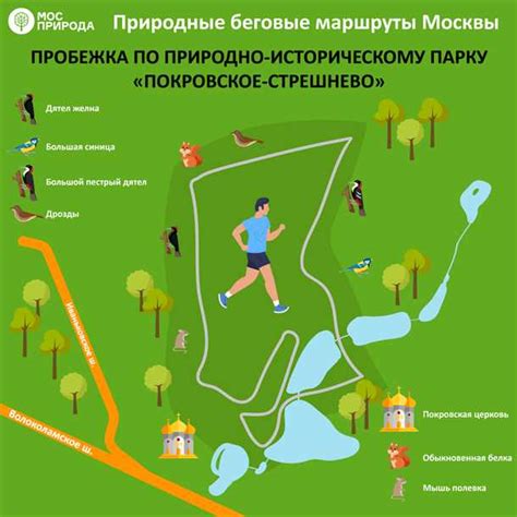 Поддержание и уход за экшн-фигуркой